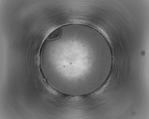 X0000091520891200708171214