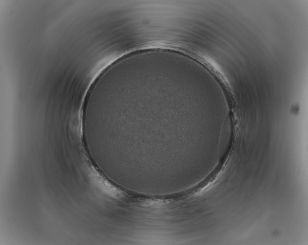 X0000091520892200708171214