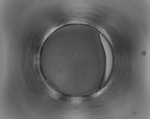 X0000091520893200708171214
