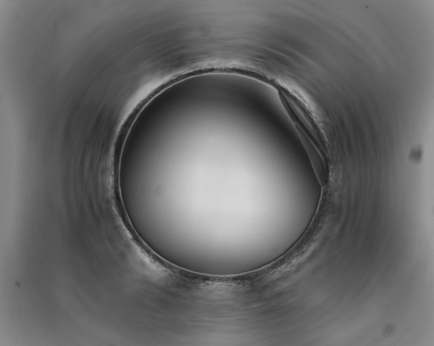 X0000091520894200708171214