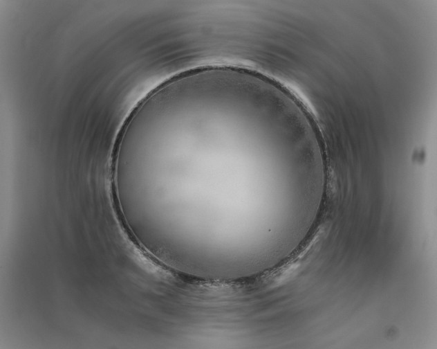 X0000091520895200708171214