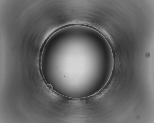 X0000091520896200708171214
