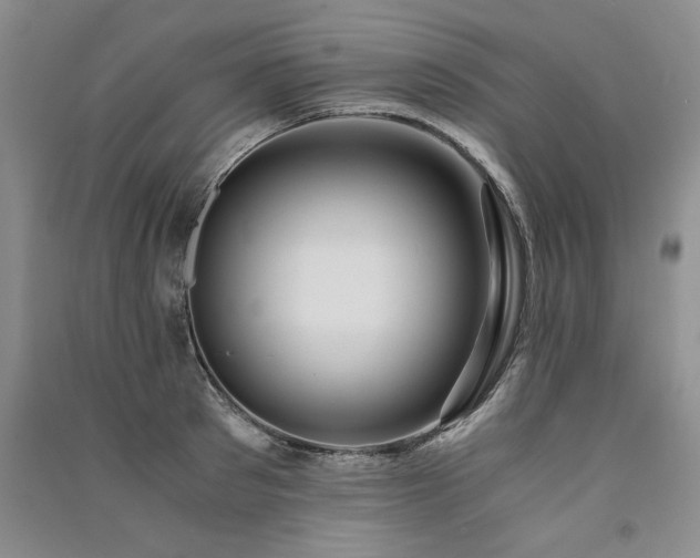 X0000091520897200708171214