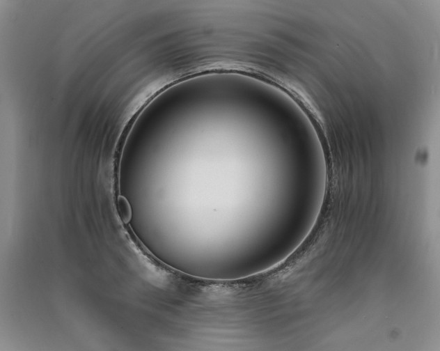 X0000091520898200708171214