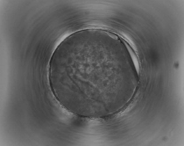 X0000091520899200708171214