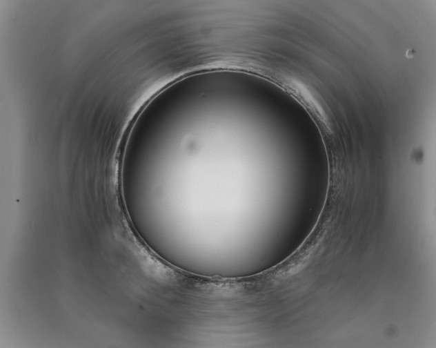 X0000091520900200708171214