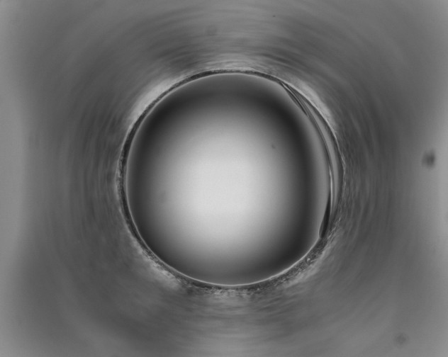 X0000091520901200708171214