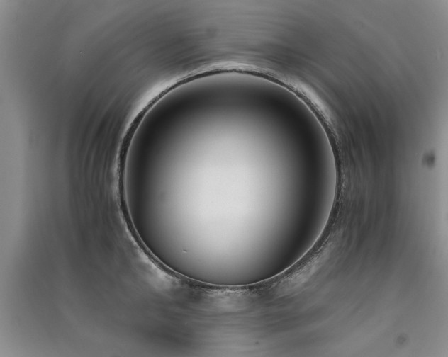 X0000091520902200708171214