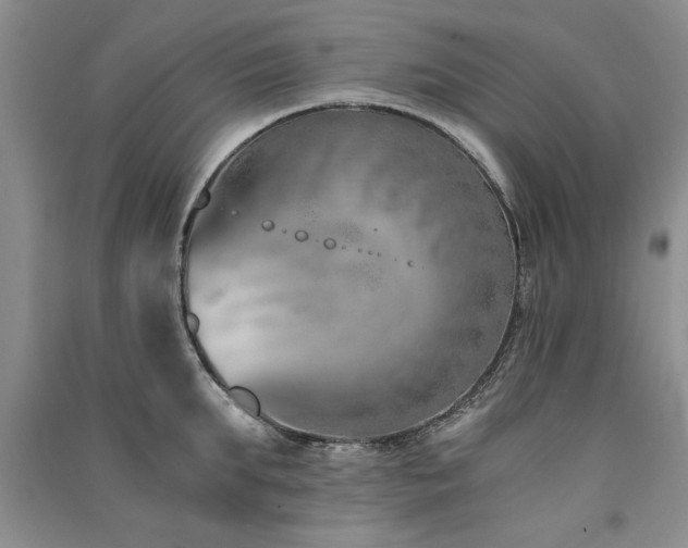X0000091520903200708171214