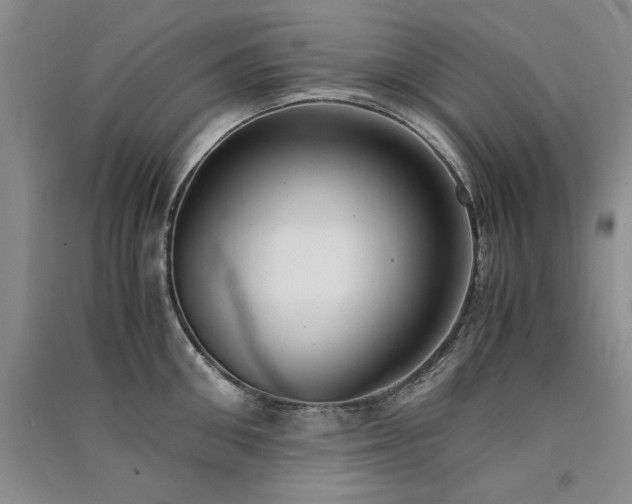 X0000091520906200708171214