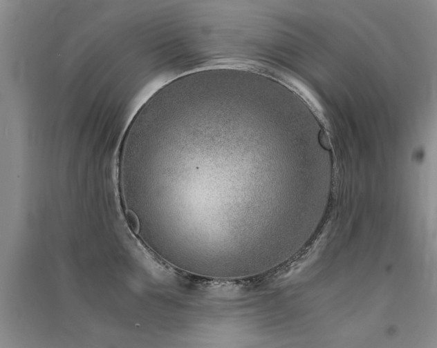 X0000091520907200708171214