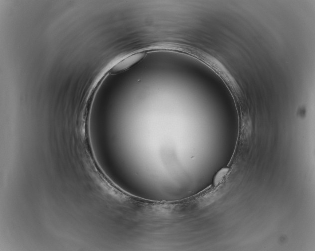 X0000091520908200708171214