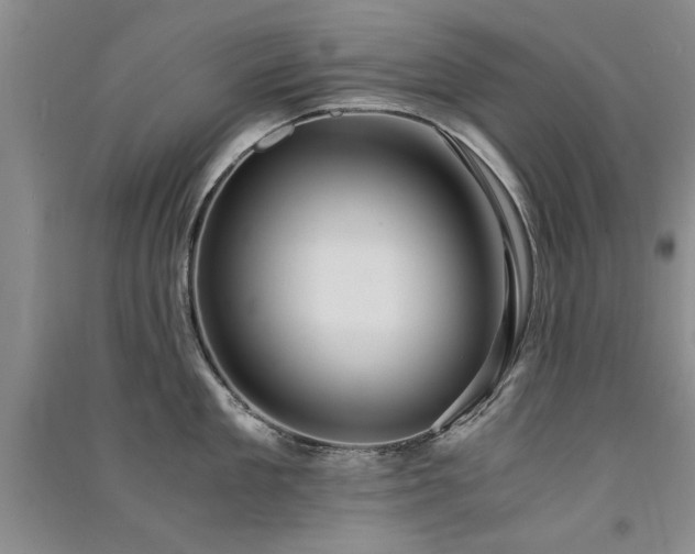 X0000091520909200708171214