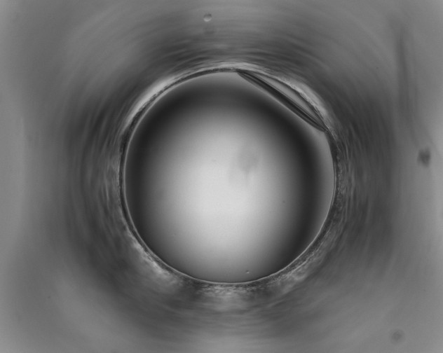 X0000091520910200708171214