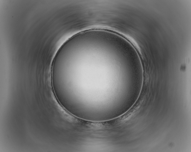 X0000091520911200708171214