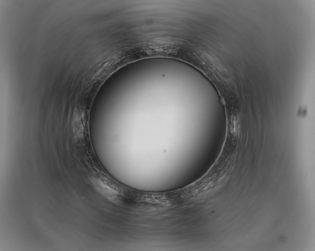 X0000091520915200708171213