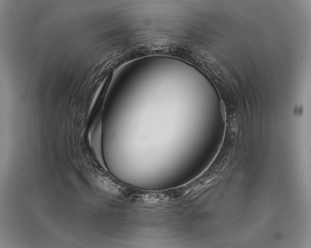X0000091520916200708171213