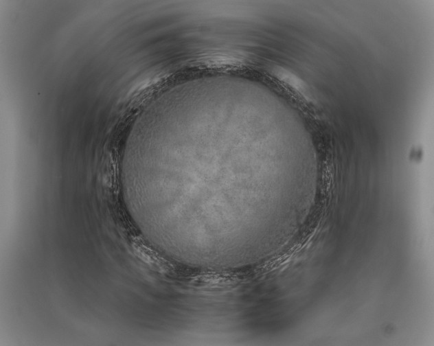 X0000091520917200708171213