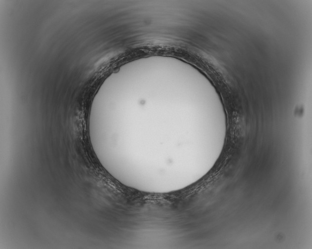 X0000091520918200708171213