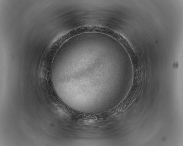 X0000091520919200708171213