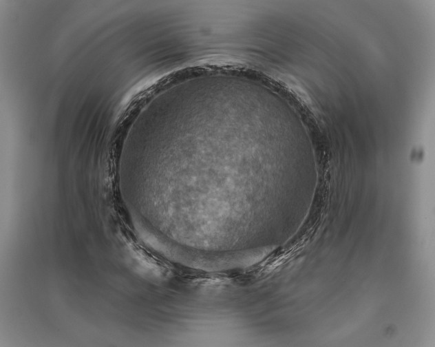 X0000091520920200708171213