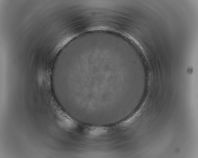 X0000091520921200708171213