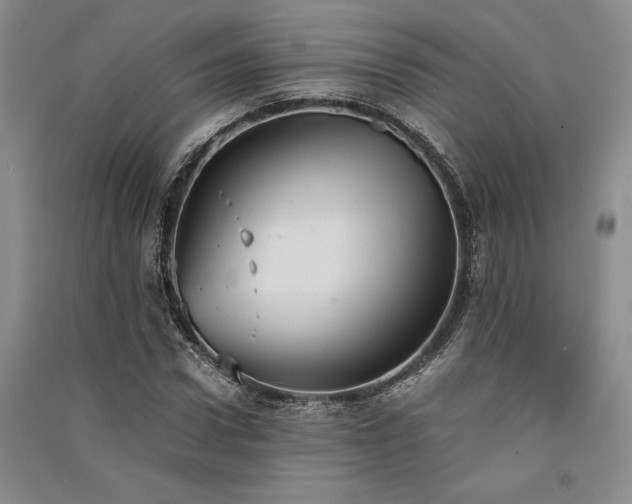 X0000091520922200708171213