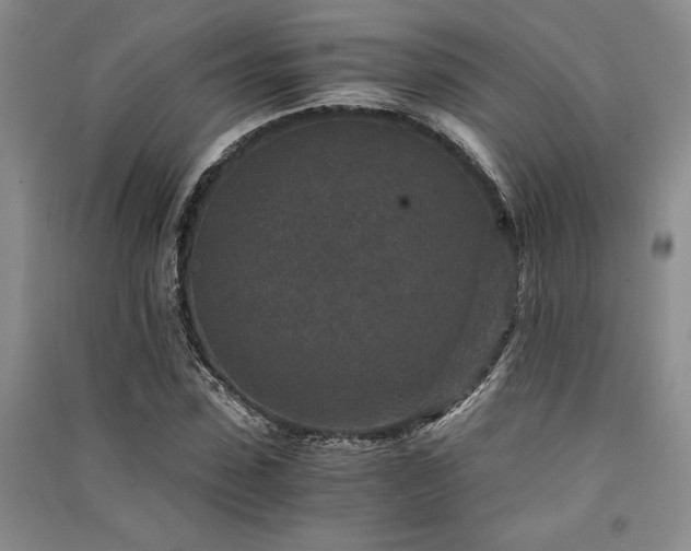 X0000091520923200708171213