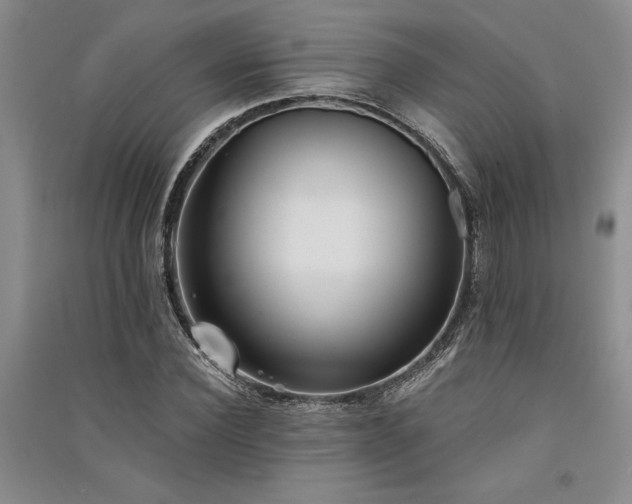 X0000091520924200708171213