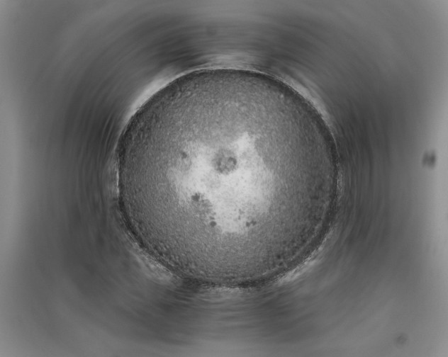X0000091520925200708171213