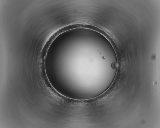 X0000091520926200708171213