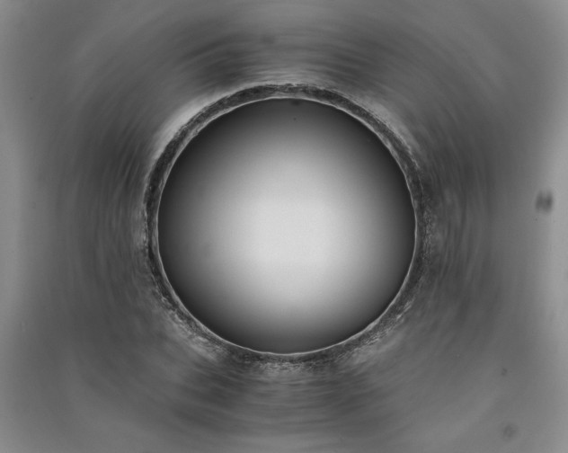 X0000091520927200708171213