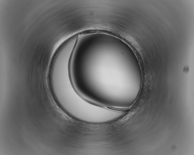 X0000091520928200708171213