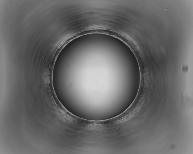 X0000091520929200708171213