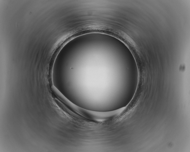 X0000091520930200708171213