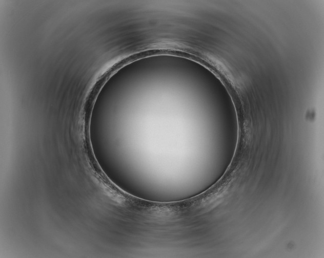 X0000091520931200708171213