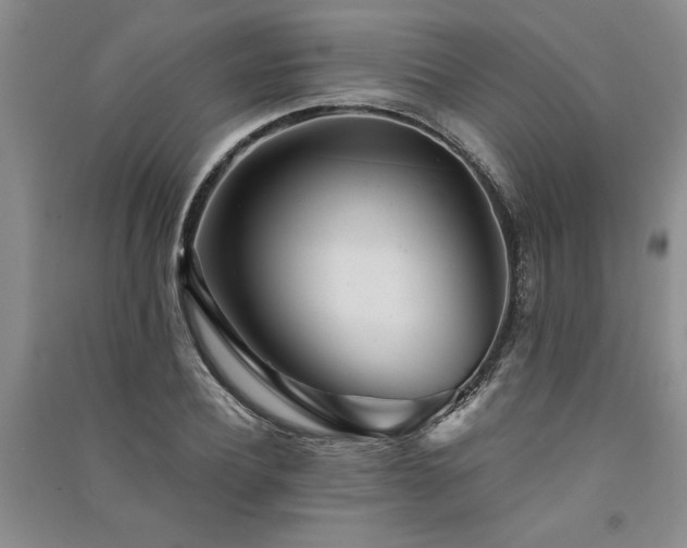 X0000091520932200708171213