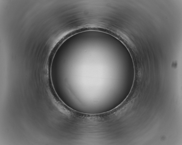 X0000091520934200708171214
