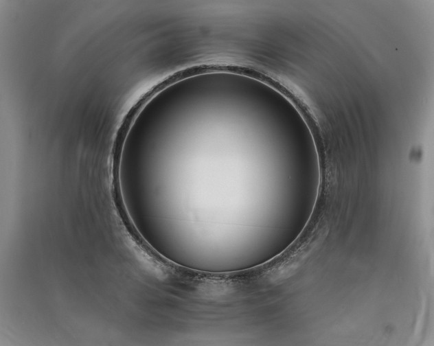 X0000091520935200708171214