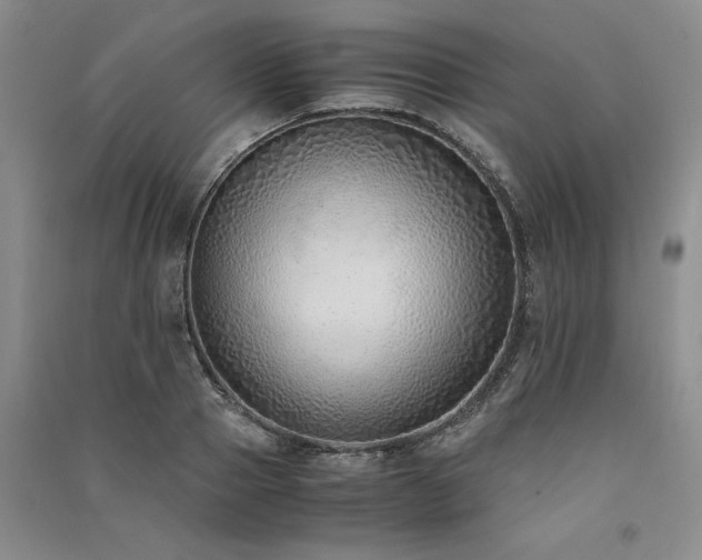 X0000091520937200708171214