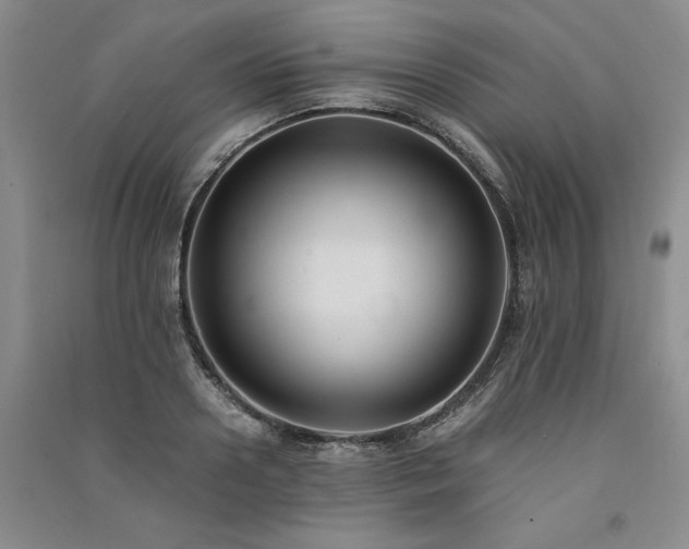 X0000091520938200708171214