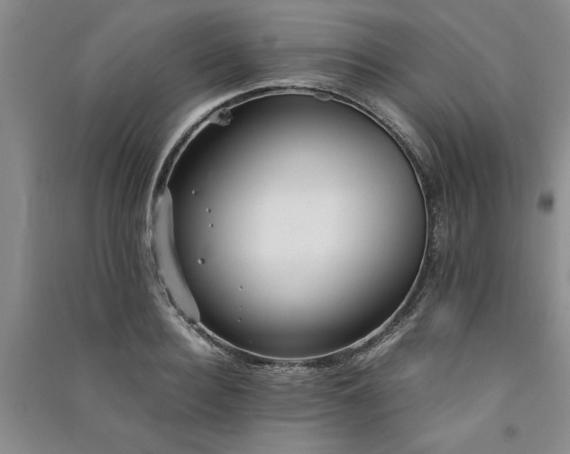 X0000091520940200708171214