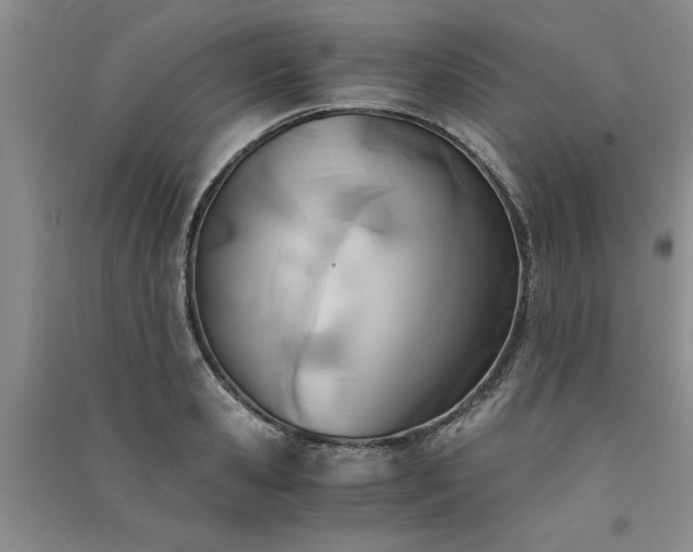 X0000091520941200708171214