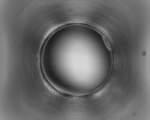 X0000091520942200708171214