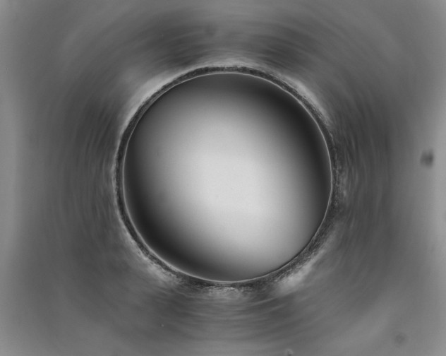 X0000091520943200708171214