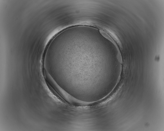 X0000091520944200708171214
