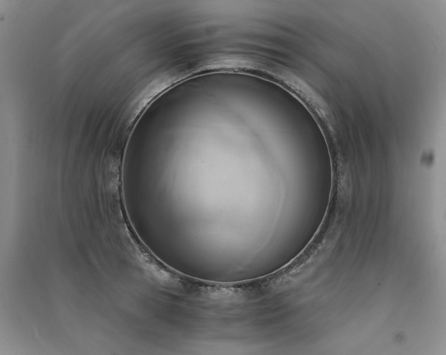 X0000091520945200708171214