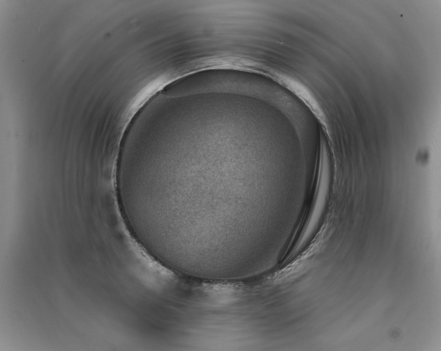 X0000091520946200708171214