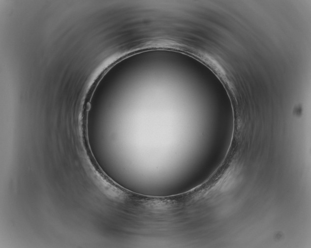 X0000091520947200708171214