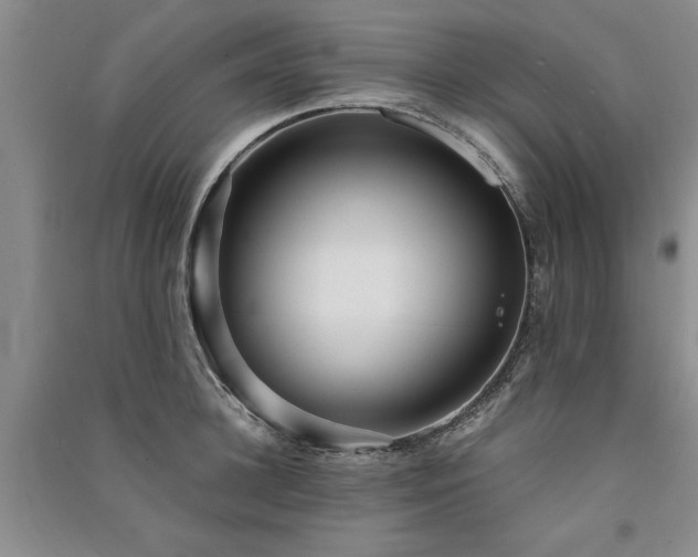 X0000091520948200708171214